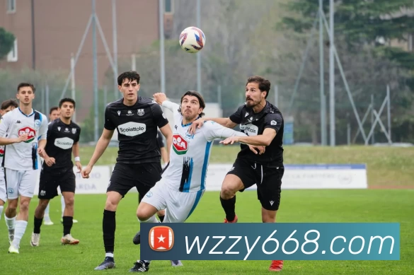 qy球友会(中国)官方网站发展历程